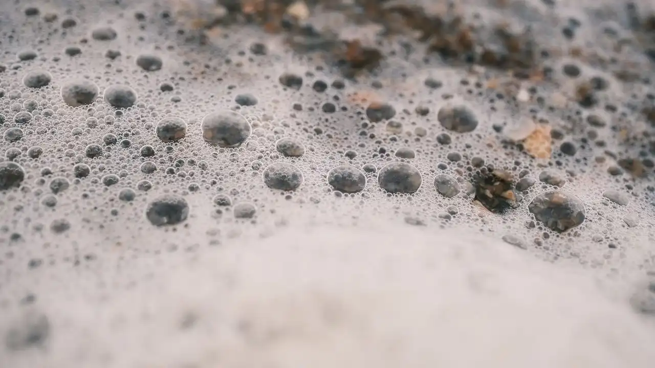 Mousse et bulles à la surface de l'eau