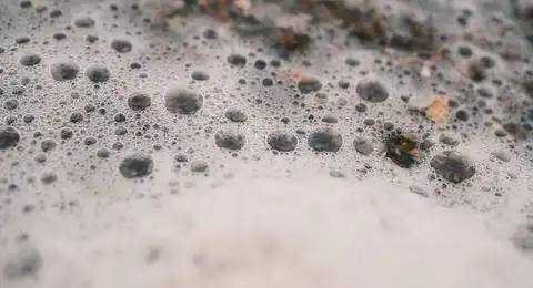 Mousse et bulles à la surface de l'eau