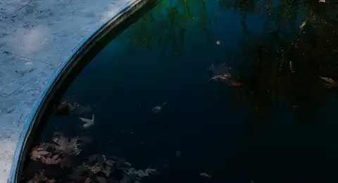 Eau de piscine verdâtre causée par un excès de phosphates