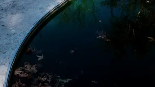 Eau verte piscine