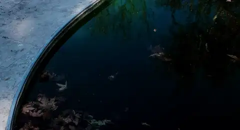 Eau de piscine verdâtre causée par un excès de phosphates